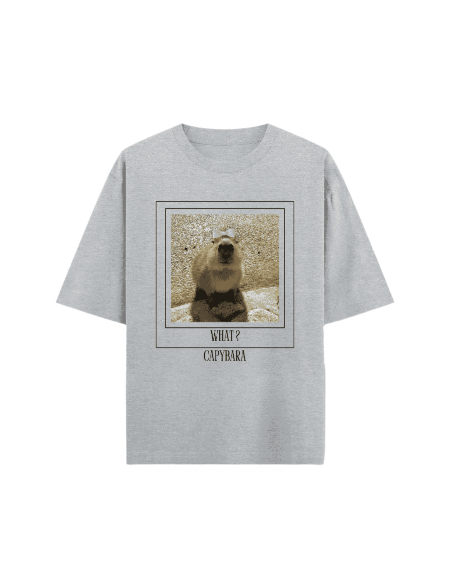 Capybara Princess